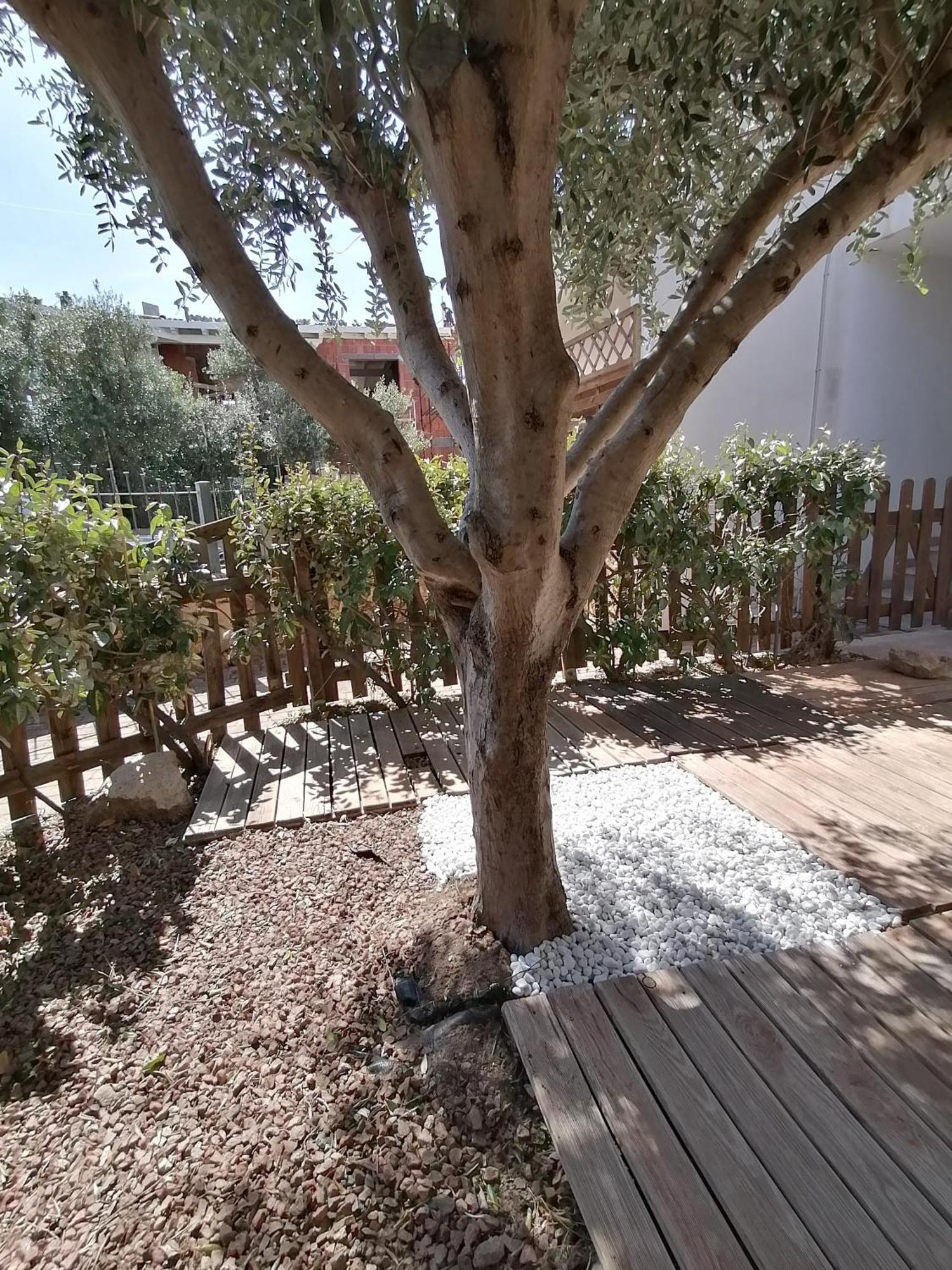 Sardamare Apartments Appartamenti La Ciaccia Valledoria  Δωμάτιο φωτογραφία